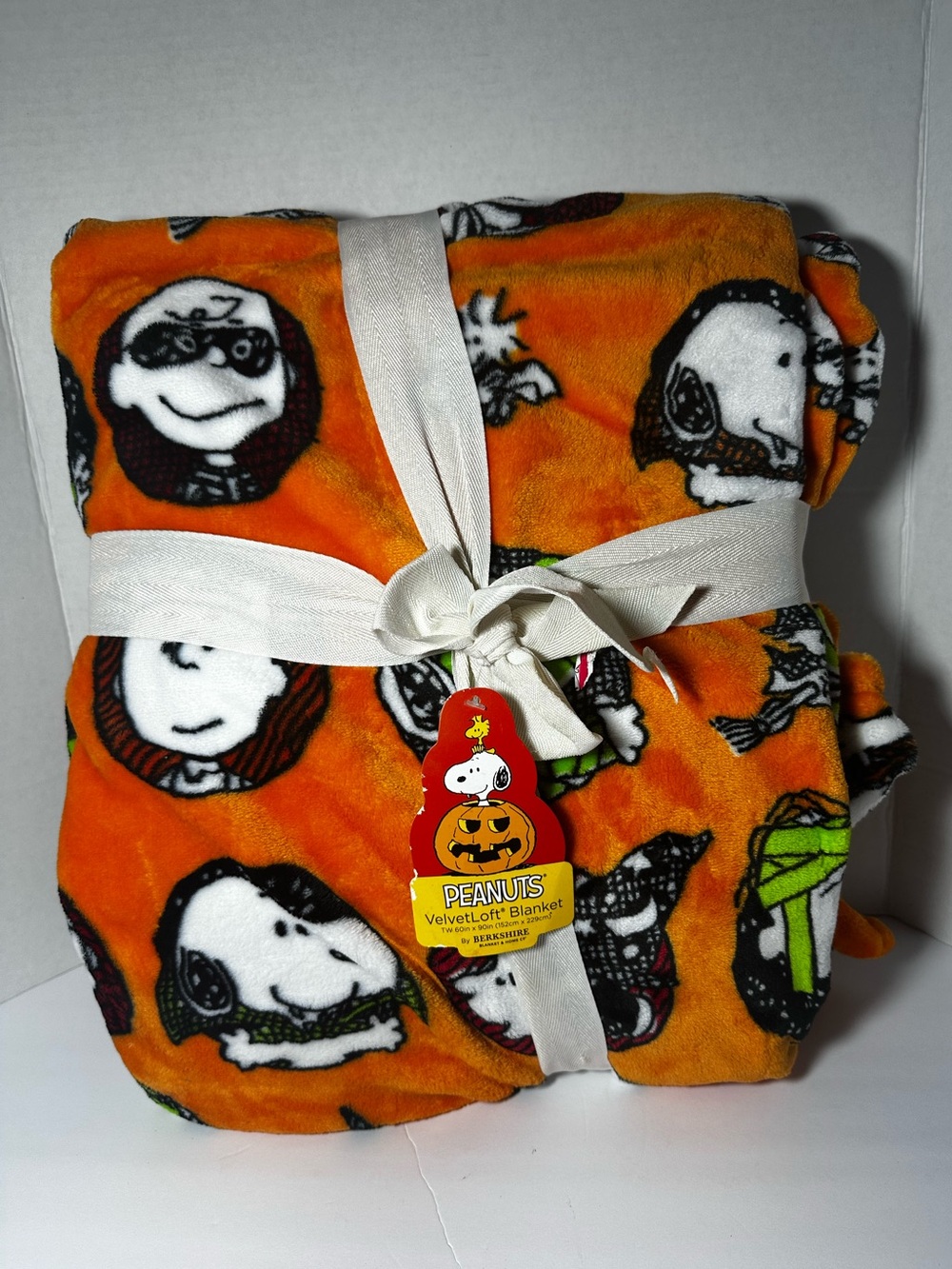 Peanuts Snoopy VelvetLoft Berkshire Twin Blanket Halloween Spooky NWT
